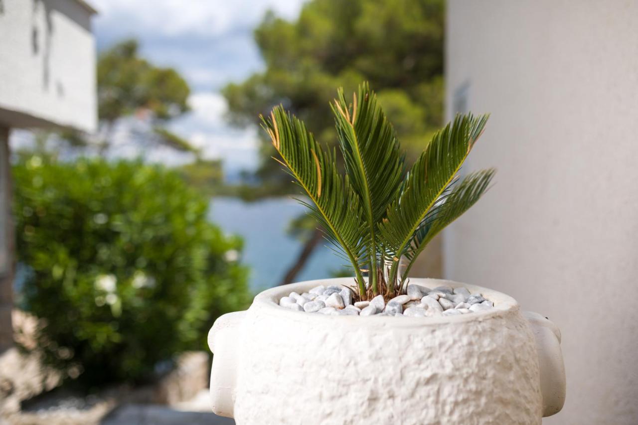 Apartments Dobronic Jelsa  Εξωτερικό φωτογραφία