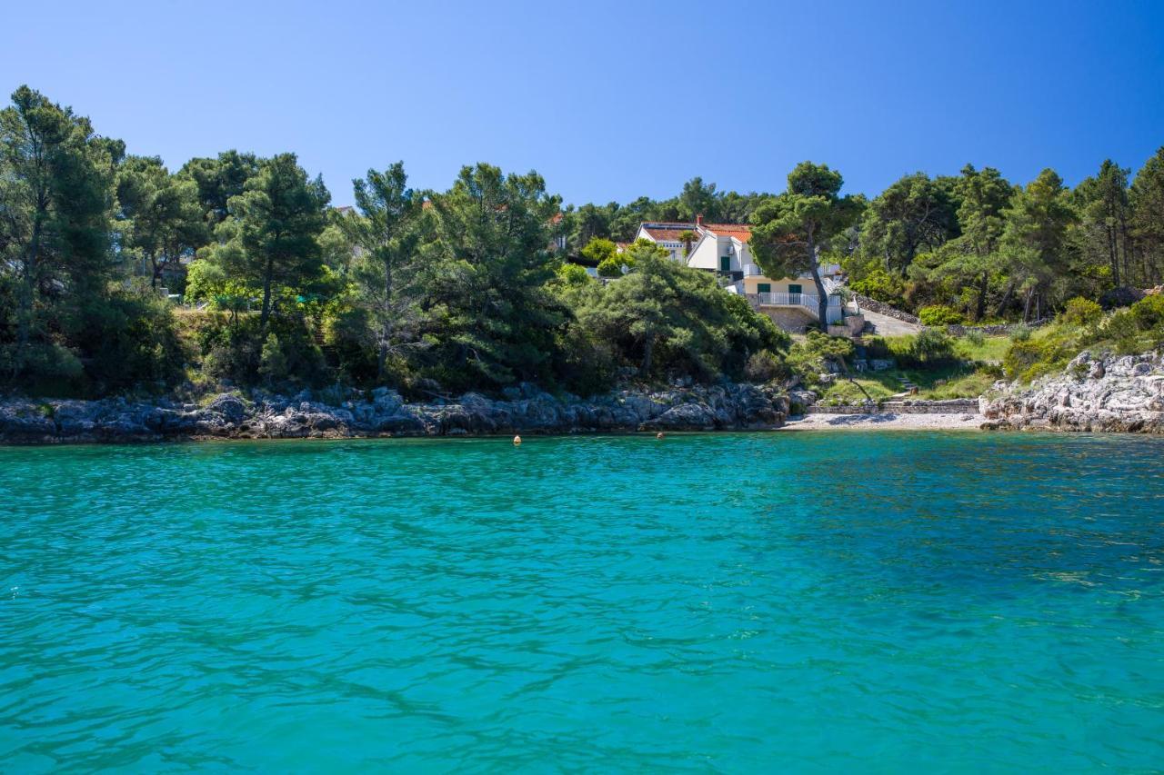 Apartments Dobronic Jelsa  Εξωτερικό φωτογραφία