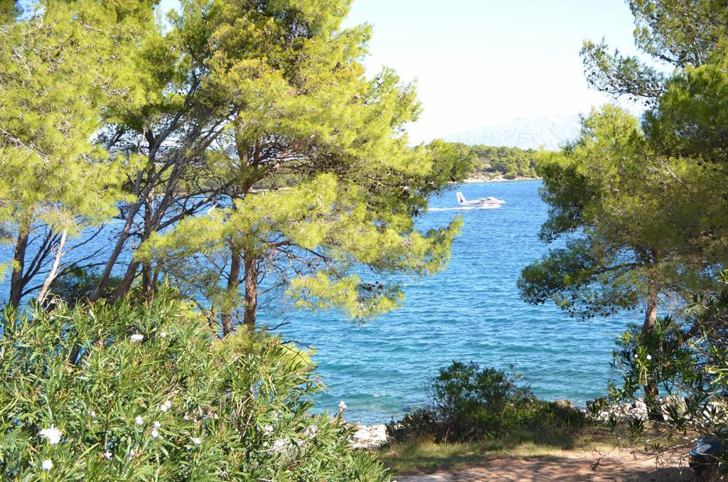 Apartments Dobronic Jelsa  Δωμάτιο φωτογραφία